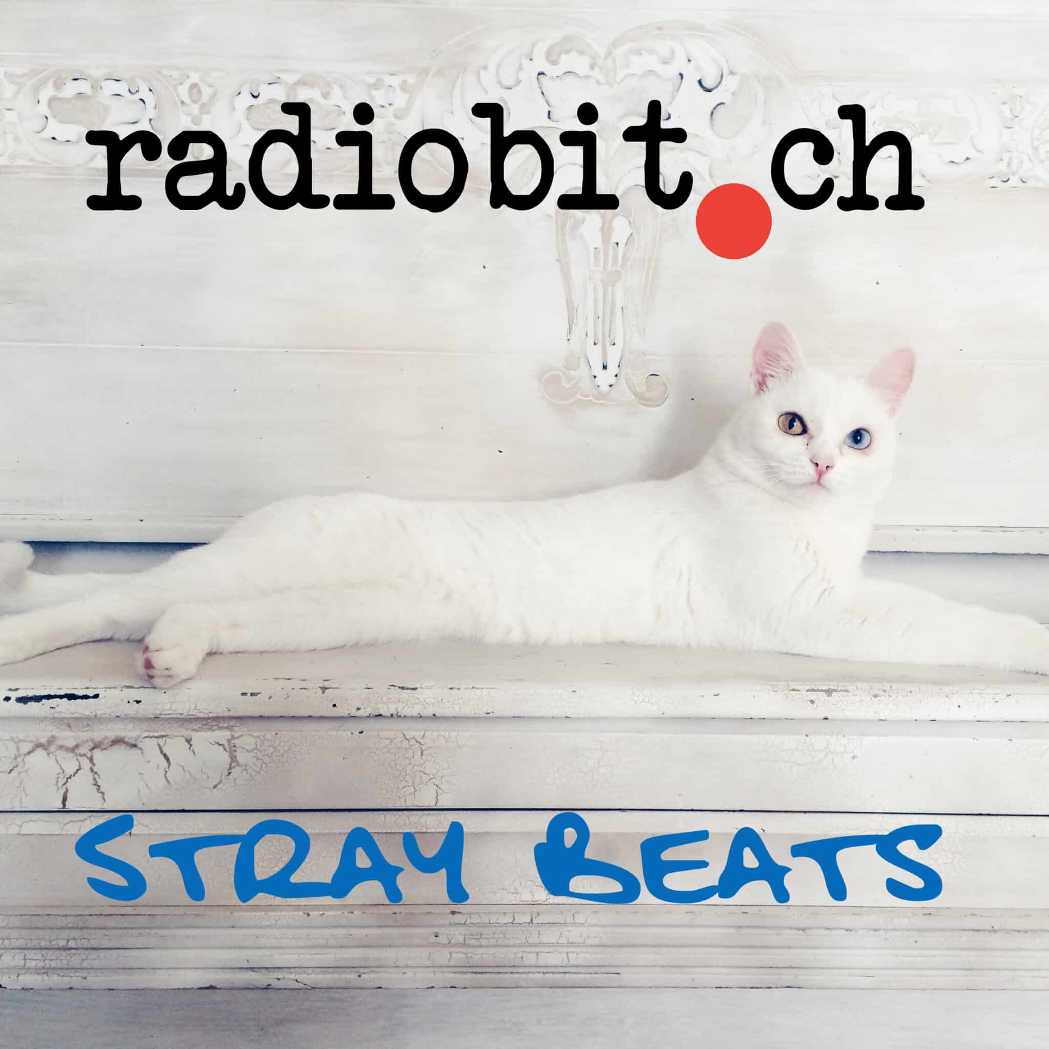 Profile picture Stray Beats