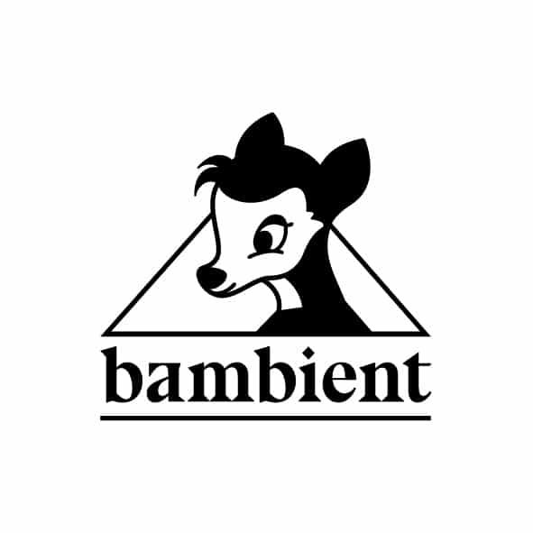 Profile picture Bambient Records