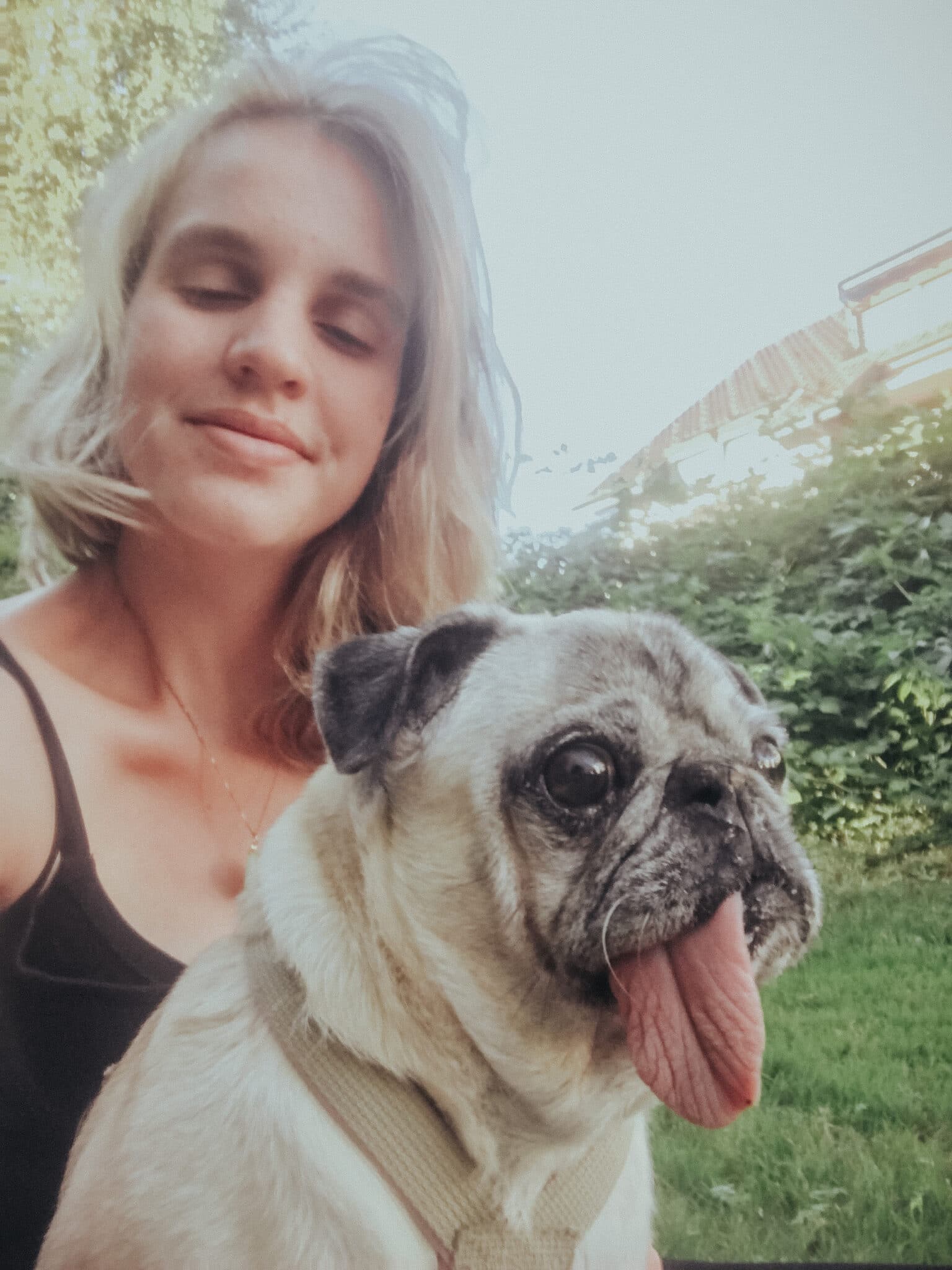 Immagine del profilo  